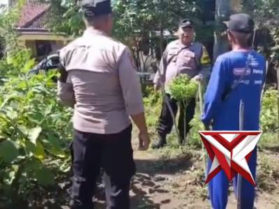 Polsubsektor Gerih melaksanakan sambang pekarangan bergizi dalam rangka mendukung ketahanan pangan n