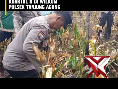 AB 5. ? Panen Raya Jagung Serentak Kuartal II ?