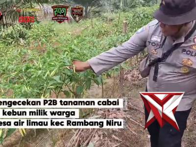 Kegiatan bhabinkamtibmas Polsek Rambang Niru