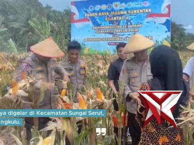 Kapolda Bengkulu Irjen Pol. Mardiyono, S.I.K., M.Si., mengikuti Panen Raya Jagung Serentak Kuartal I - PoliceTube