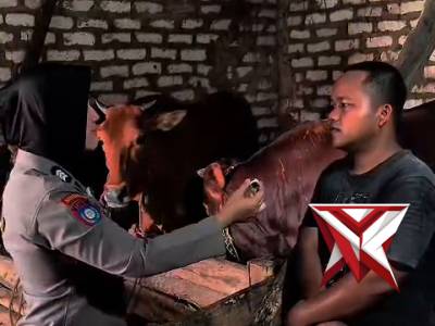 Himbauan Keamanan dan Keselamatan Hewan Qurban
