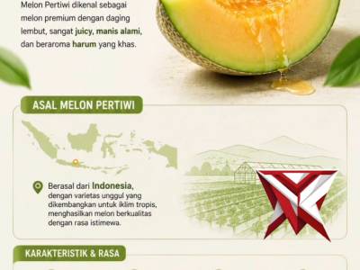 ? Panen Melon P2L, Kebersamaan Penuh Kehangatan ? Hasil budidaya Program Pekarangan Pangan Lestari - PoliceTube