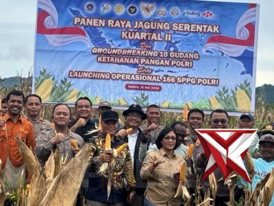 Panen Raya Jagung