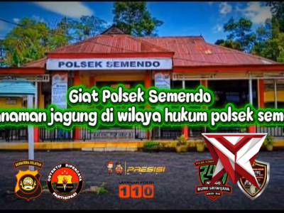 Giat Polsek Semendo penanaman jagung di wilayah hukum Polsek Semendo.