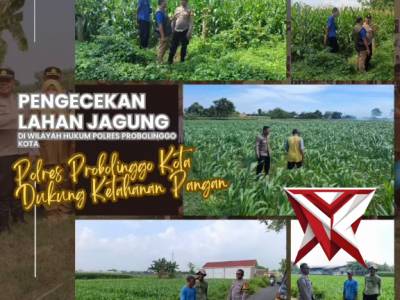 Polres Probolinggo Kota melaksanakan kegiatan pengecekan lahan jagung guna