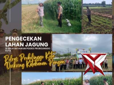 Polres Probolinggo Kota melaksanakan kegiatan pengecekan lahan jagung guna mendukung program ketahan - PoliceTube