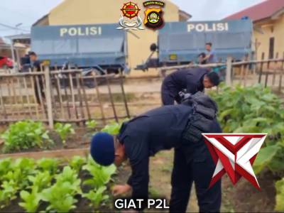 PERSONEL KOMPI 1 BATALYON D PELOPOR SATBRIMOB POLDA SUMSEL MELAKSANAKAN GIAT P2L