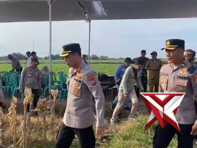Panen Raya jagung serentak kuartal II Polres Probolinggo Kota