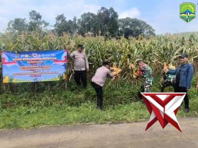 Polsek Malausma Bersama Muspika Ikuti Virtual Zoom Meeting Panen Raya Jagung Quartal II Tahun 2026