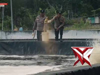 Dukung Program Ketahanan Pangan di Sektor Perikanan, Polres Trenggalek Kembangkan Budidaya Vaname
