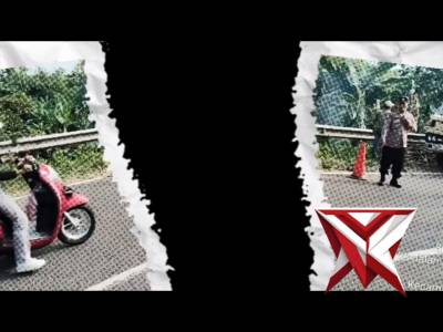 Penebangan pohon
