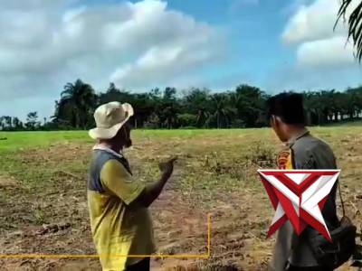 *Bhabinkamtibmas Aipda Hendryck Ediman Cek Lahan Jagung di Desa Simpang Tais*

Dalam rangka mendukun