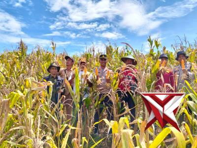 KEGIATAN PANEN RAYA JAGUNG SERENTAK&nbsp;&nbsp;KUARTAL II TAHUN 2026