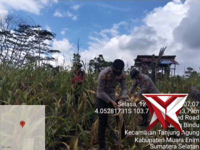 HI 5. Pengecekan lahan jagung dalam rangka Persiapan Panen Jagung Serentak Kuartal 1 Tahun 2026