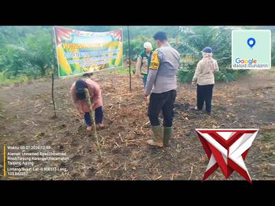 Mi 5
Bhabinkamtibmas Polsek Tanjung Agung melakukan penanaman benih jagung di desa binaan