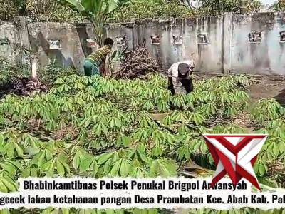 Bhabinkamtibmas Polsek Penukal Cek Lahan Ketahanan Pangan di Desa Prambatan Bersama Warga - PoliceTube