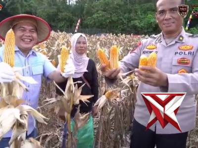 Panen Raya Jagung Serentak Kuartal II Tahun 2026.