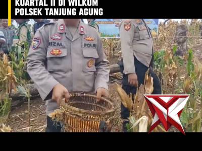 TI 9. ? Panen Raya Jagung Serentak Kuartal II ? - PoliceTube