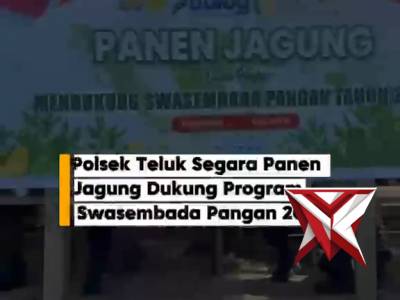 Polsek Teluk Segara Panen Jagung Dukung Program Swasembada Pangan 2026

Bengkulu &ndash; Polsek Teluk Sega