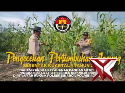 polsek sinaboi mengecek pertumbuhan jagung kuartal 1