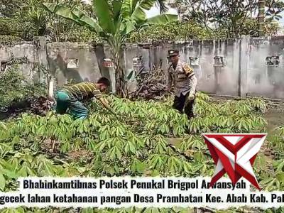 Bhabinkamtibmas Polsek Penukal Cek Lahan Ketahanan Pangan di Desa Prambatan Bersama Warga