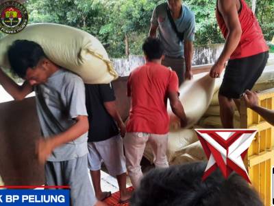 GIAT PENYALURAN HASIL PANEN JAGUNG POLSEK BP PELIUNG KE BULOG - PoliceTube