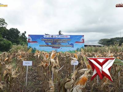 Wujud Nyata Ketahanan Nasional, Polresta Banyuwangi Kawal Panen Raya Jagung Serentak Bersama Preside