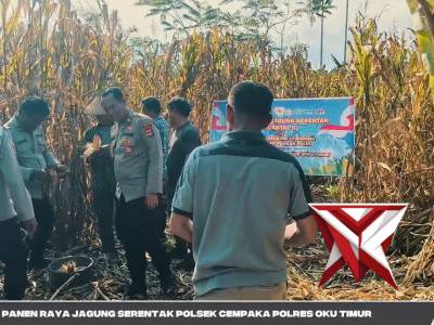 GIAT PANEN RAYA KUARTAL II POLSEK CEMPAKA
