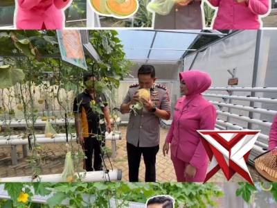 Hasil budidaya program p2l bhayangkari polres Magetan - PoliceTube