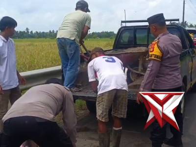 @ok.Polsek Tugumulyo dalam Kegiatan belida - PoliceTube