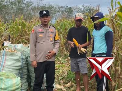 Bhabinkamtibmas Polsek Belitang II melakukan pengecekan lahan ketahanan pangan