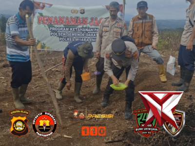 Giat Polsek Semendo penanaman jagung di wilayah hukum Polsek Semendo. - PoliceTube