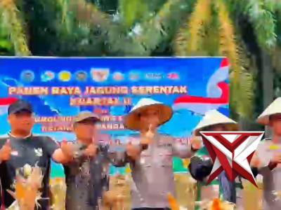 PANEN RAYA JAGUNG SERENTAK KUARTAL II - PoliceTube