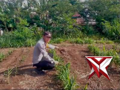 Polsek Kota Agung ketahanan pangan - PoliceTube