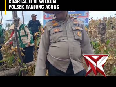 TI 8. ? Panen Raya Jagung Serentak Kuartal II ?