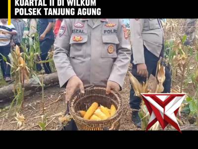 AS 1. ? Panen Raya Jagung Serentak Kuartal II ?