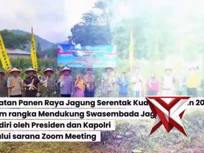 Panen raya jagung serentak