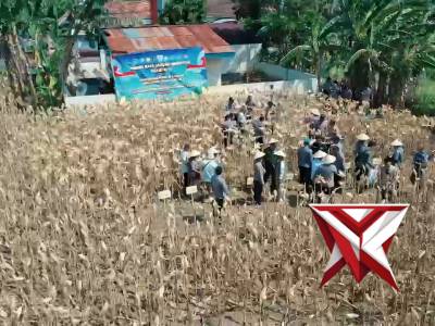 Kapolres Probolinggo menghadiri kegiatan Panen Raya Jagung Serentak Kuartal II - PoliceTube