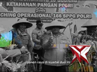Panen raya jagung kuartal II