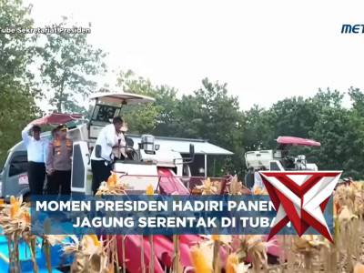 Panen Raya Jagung Nasional! Presiden Prabowo dan Kapolri Perkuat Ketahanan Pangan