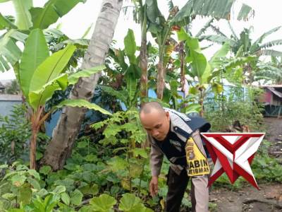 Pengecekan Ketahanan Pangan Oleh Bhabinkamtibmas Polres Empat Lawang