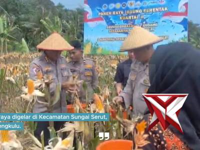 Kapolda Bengkulu Irjen Pol. Mardiyono, S.I.K., M.Si., mengikuti Panen Raya Jagung Serentak Kuartal I - PoliceTube