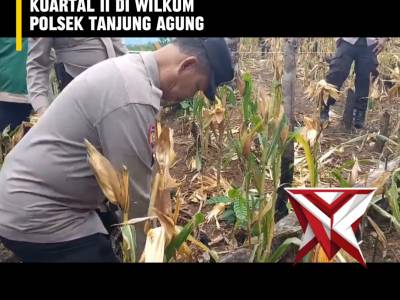 FY 9. ? Panen Raya Jagung Serentak Kuartal II ?