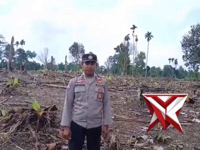 GIAT PENGECEKAN LAHAN UNTUK PENANAMAN JAGUNG POLSEK BP PELIUNG