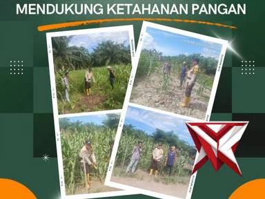 ketahanan pangan polsek panipahan