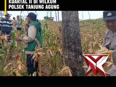 BP 5. ? Panen Raya Jagung Serentak Kuartal II ?