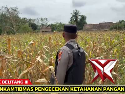 Bhabinkamtibmas Polsek Belitang III cek perkembangan ketahanan pangan
