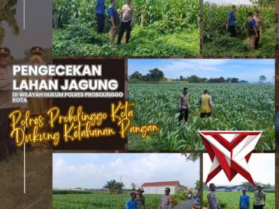 Polres Probolinggo Kota melaksanakan kegiatan pengecekan lahan jagung guna mendukung program