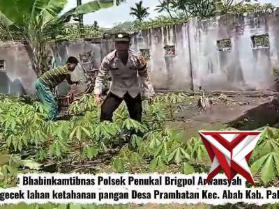 Bhabinkamtibmas Polsek Penukal Cek Lahan Ketahanan Pangan di Desa Prambatan Bersama Warga