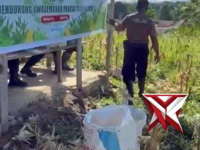 Polsek Teluk Segara Panen Jagung Dukung Program Swasembada Pangan 2026